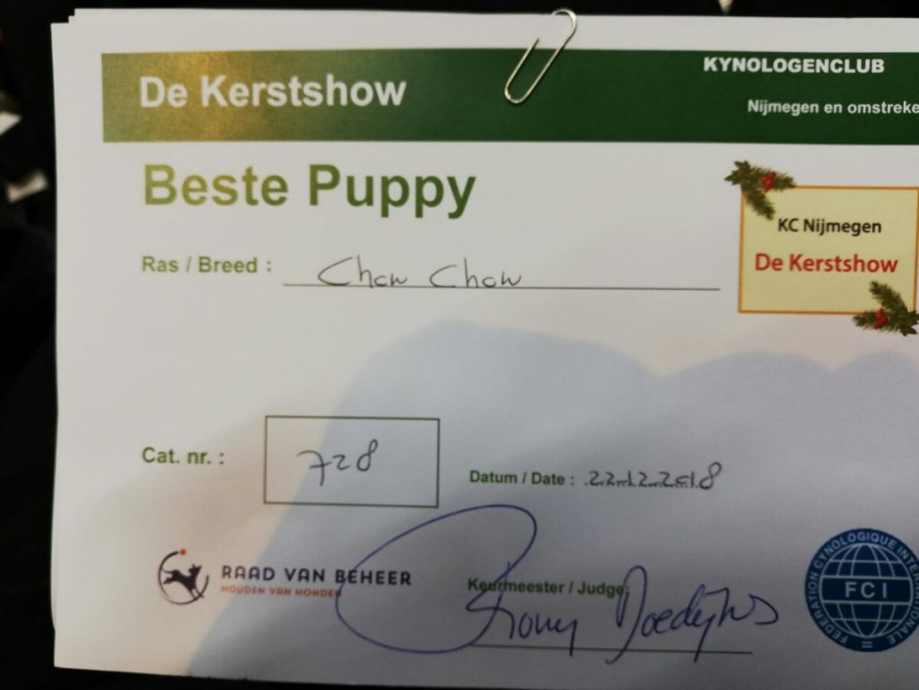 Arpad Thor Fasaliri von der Schwalm beste puppy op Kerstshow Venray 2018