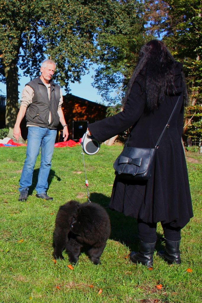 Ineke traint met Thor voor zijn eerste show